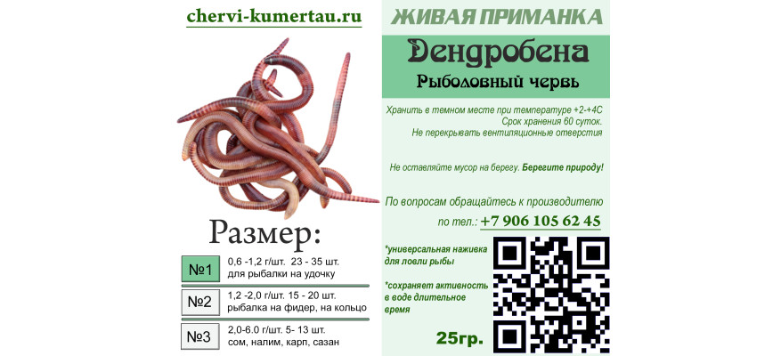 Червь Дендробена в Кумертау