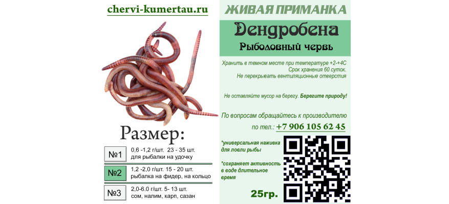 Червь Дендробена в Кумертау