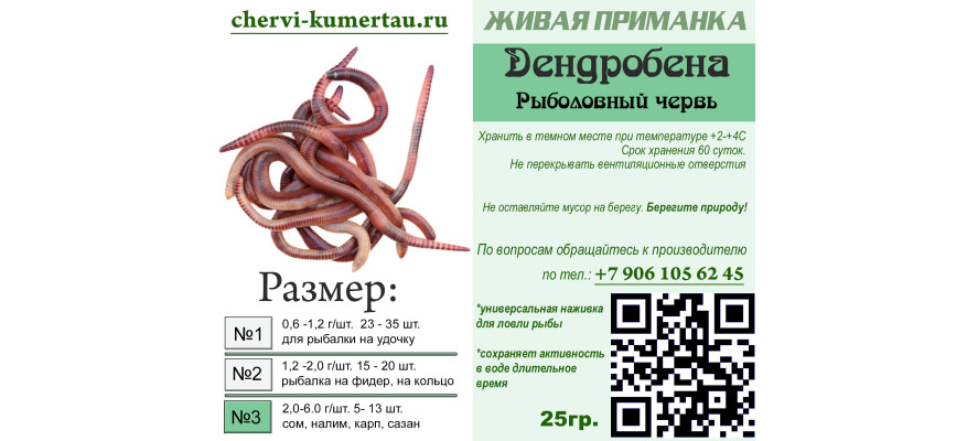 Червь Дендробена в Кумертау